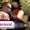Esskastanie `Maraval´ Castanea Sativa `Maraval´