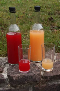 Rosette® Malus Domestica 8 Rosette® Malus Domestica -Pflanzenhof Geschaft Rosette Saft