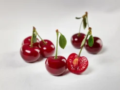 Safir ® Prunus Cerasus `Safir´ 11 Safir ® Prunus Cerasus `Safir´ -Pflanzenhof Geschaft sauerkirsche safir glCz99JjQsQ3RC